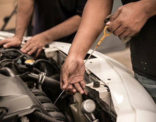 Mechanic Checking Level Of New Engine Oil